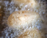 Foto del paso 7 de la receta: 🥔🥔Croquetas de Cocido con base de patata🥔🥔