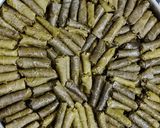صورة لخطوة 7 من وصفة ورق عنب بالطماطم