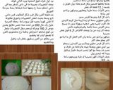 صورة لخطوة 9 من وصفة الشعيبيات بجننن عن تجربه