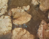 Foto del paso 5 de la receta: Solomillo de cerdo al whisky