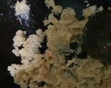 Foto langkah ke 1 dari resep Terong Tahu Masak Santan.