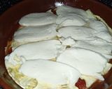 Foto del paso 5 de la receta Milhojas de calabacín a la napolitana en turbocecofry 4d