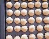 A picture of step 3 of Snow Balls / Momo.