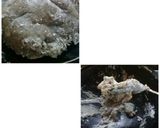 Foto langkah ke 3 dari resep Pempek cibay,metode all in one (tanpa tekhnik bentuk).