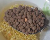 A picture of step 1 of Shahi mix daal.