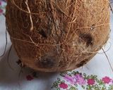 Foto del paso 4 de la receta: Harina De Coco Casera Con Bagazo