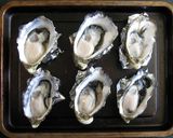 A picture of step 3 of Baked Oysters with White Sauce.