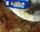 Foto del paso 6 de la receta: Pulpa de cerdo a la cerveza y zanahoria