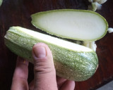 Foto del paso 5 de la receta: Calabacita española rellena de camarón, bañada en salsa bechamel