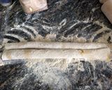 Foto del paso 3 de la receta: Fideos de zanahoria con harina integral