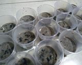 Foto langkah ke 2 dari resep Pudding Oreo Milo.