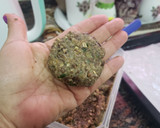 Foto del paso 5 de la receta: Medalloncitos de lentejas