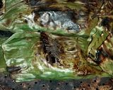 Foto langkah ke 6 dari resep Peda asin bakar 🍖.
