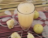 આમળા નું શરબત (Amla Sharbat Recipe In Gujarati) રેસીપી સ્ટેપ2ફોટો