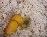 Foto del paso 2 de la receta: Masa dulce para tarta