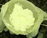 A picture of step 1 of Lychee Shrikhand.
