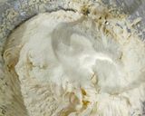Foto langkah ke 2 dari resep Lekker Holland (Dutch Buttercake).