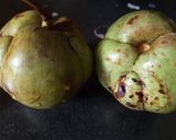 চালতার আচার (Chaltar achaar recipe in Bengali) রেসিপি ধাপ - 1 ছবি