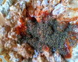 Foto del paso 3 de la receta: Raviolones de Tomate y Tomillo relleno de Pollo tomates secos y orégano