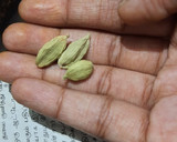 கேரட் அல்வா ரெசிபி ஸ்டேப் 6 புகைப்படம்