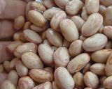Foto del paso 1 de la receta: Untable de porotitos cranberry, porotos pintos o borlotti 🫘