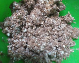 Foto del paso 1 de la receta: Bombones de avena súper fáciles