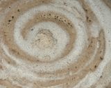 A picture of step 6 of Water chestnut and buckwheat flour Spring Roll.