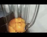 Foto langkah ke 2 dari resep Pudding mangga fla susu aroma lemon!!.