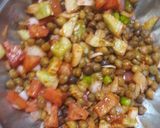 સલાડ(salad recipe in Gujarati) રેસીપી સ્ટેપ3ફોટો