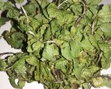 A picture of step 1 of Mosambi juice.