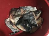 Sup ikan nila campur kentang wortel