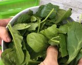 Foto del paso 2 de la receta Espinacas con dátiles y piñones en Lékué al microondas