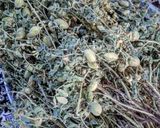 عکس مرحله 1 از دستور نخود برشته با ادویه مدیترانه ای