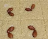 صورة لخطوة 3 من وصفة قلب اللوز المكسور بنة ولا اروع 👍👍🤤🤤 😘