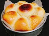 Bánh mì bơ sữa