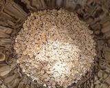 Hình bước làm 2 của món Granola Yogurt