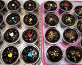 Foto langkah ke 9 dari resep Brownies cup kukus fla coklat.