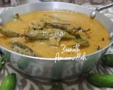 A picture of step 5 of Hyderabadi Mirchi Ka Salan.