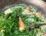 Gambar langkah 4 resipi Masak lemak cili api pucuk paku & udang.