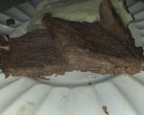 Foto del paso 4 de la receta: Entrecot al vino tinto