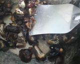 A picture of step 3 of Dates n dry fruit roll.