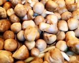 Hình bước làm 3 của món Bánh Canh Gõ Tay Nấu Chay