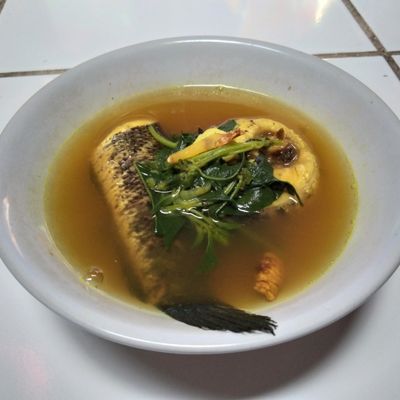 Langkah 7