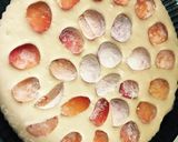 Sárgabarackos pite recept fázis 6 fotója