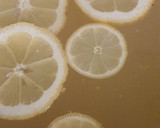 Bodzaszörp recept fázis 1 fotója