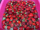 Confettura di fragole