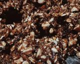ખજૂર ડ્રાયફ્રુટ બોલ્સ (Khajoor Dryfruit Balls Recipe In Gujarati) રેસીપી સ્ટેપ4ફોટો