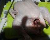 Foto del paso 1 de la receta: Arrollado o matambre de pollo 👏