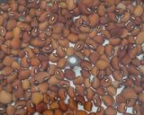 Foto langkah ke 1 dari resep Sambel krecek kacang tolo.