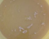 A picture of step 3 of Fondant.